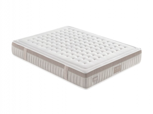 Colch�n Noble La Premier